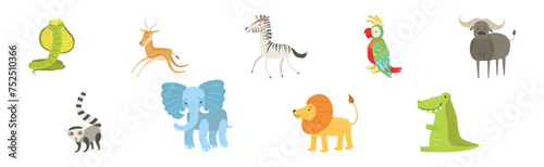 Wild African Animal and Zoo Beast Vector Set