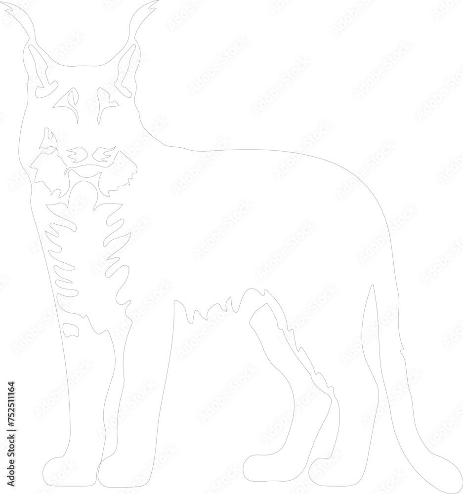 lynx outline lynx outline