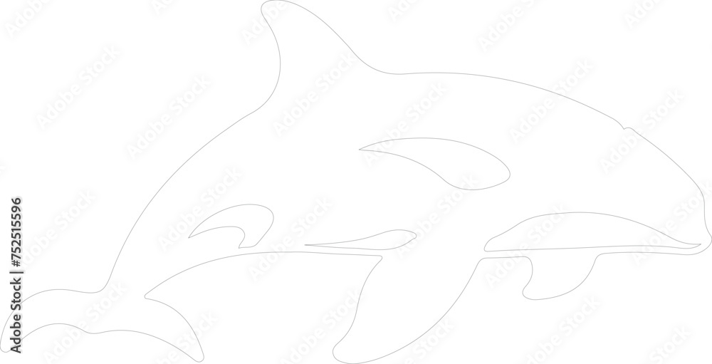 killer whale outline killer whale outline