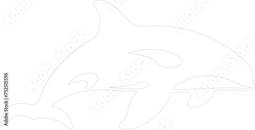 killer whale outline