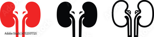 Kidney icon vector set. Urology logo design template. Symbol and sign vector design Editable Stroke. Silhouette with internal organ. isolated on transparent background can be used for web, mobile, ui.