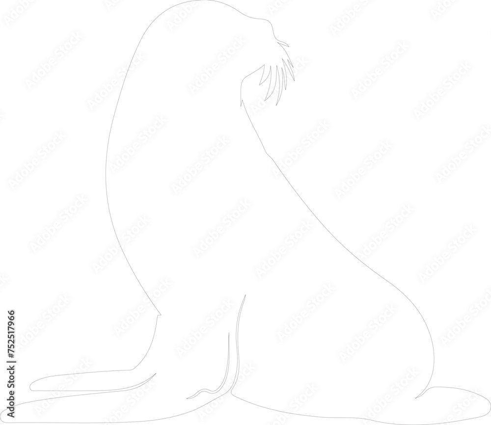 seal outline seal outline