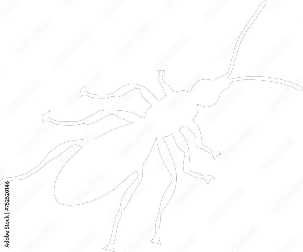 termite outline termite outline