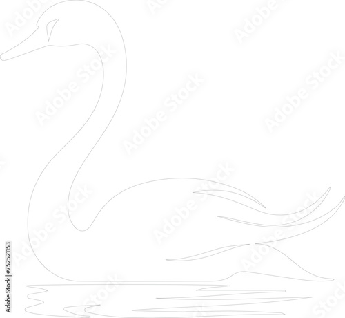 trumpeter swan outline photo