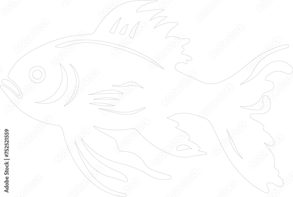Obraz premium pupfish outline