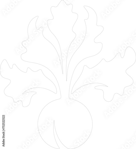 kohlrabi outline