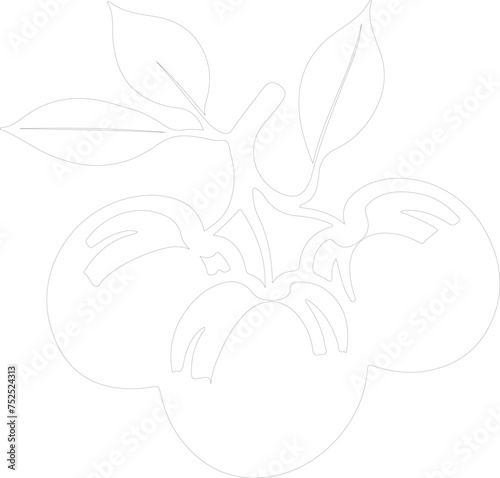 plum outline
