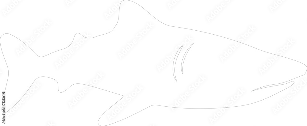 whale shark outline