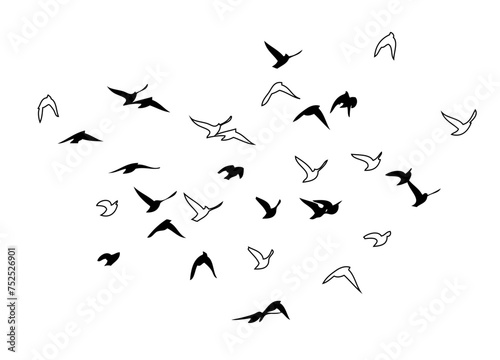 Flying birds silhouette flock. hand drawing. Not AI  Vector illustration