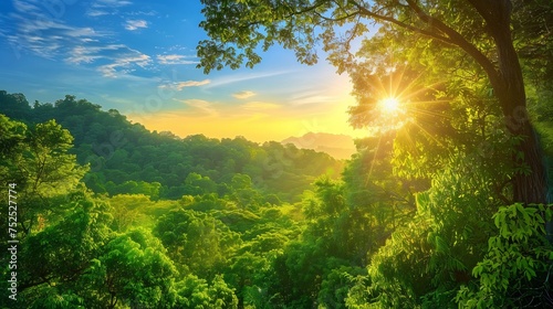 A breathtaking nature shot capturing the lush green foliage of a woodland canopy as it greets the morning sun in the sky
