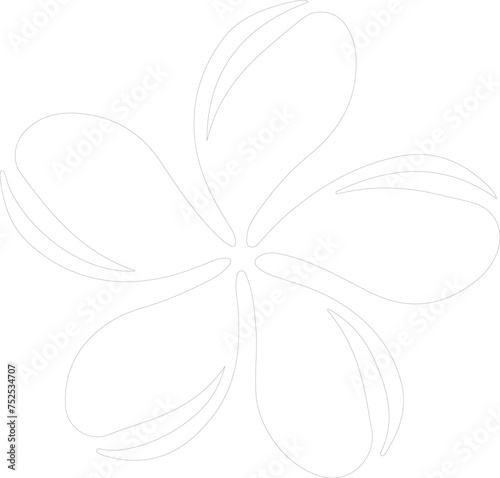 plumeria outline