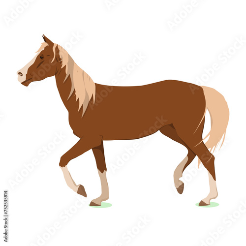 vector illustration of a brown horse. Isolated on a white background. The theme of equestrian sports, animal husbandry, veterinary medicine and agriculture
