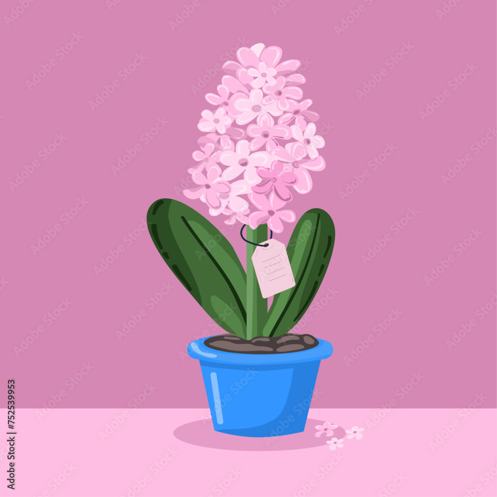 Flat illustration for spring season, hyacinthus, flower in pot, Vector illustration Flat illustration for spring season, hyacinthus, flower in pot, Vector illustration
