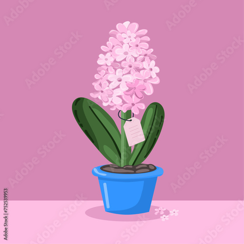 Flat illustration for spring season, hyacinthus, flower in pot, Vector illustration