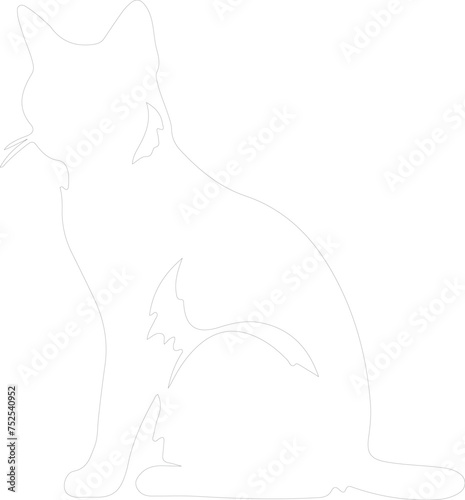 Snowshoe Cat outline
