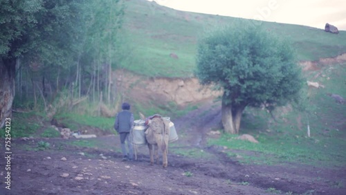 A boy goes to fetch water on a donkey. The donkey is harnessed to two water flasks