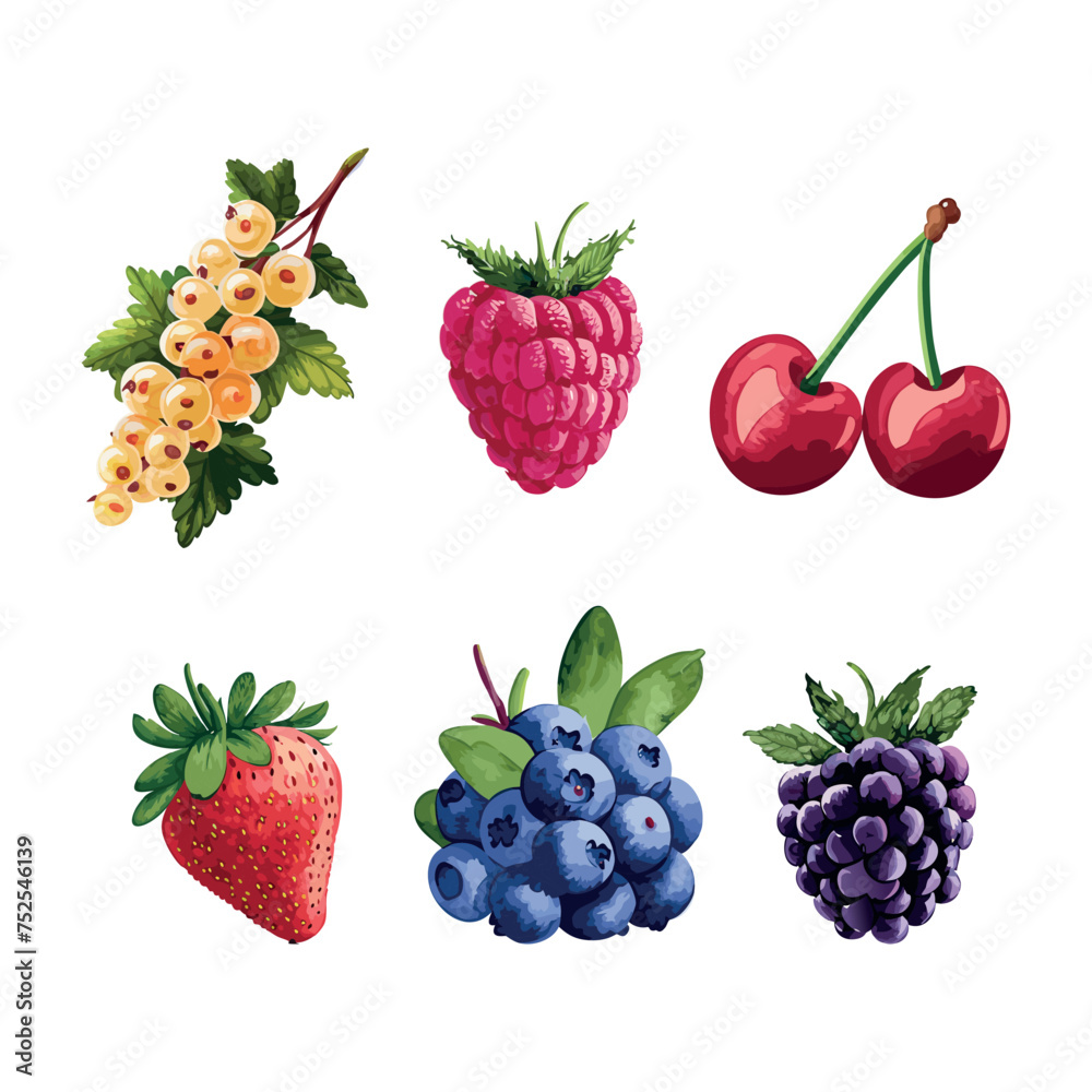 Berries vector illustration. Berries set collection Berries vector illustration. Berries set collection