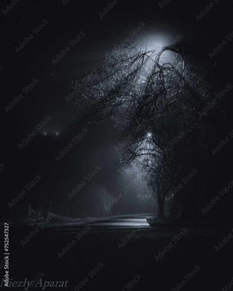 tree in the night - obrazy, fototapety, plakaty 