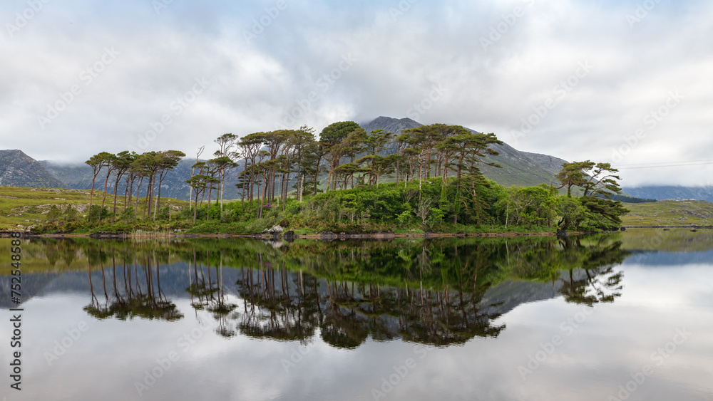 Morning scene with a cloudy day in Galway Ireland, Pine Island