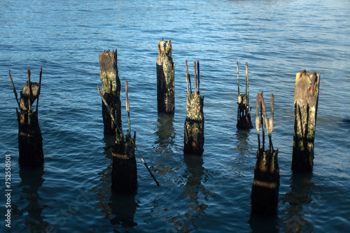 Old wooden and concrete pier on the San Francisco Bay