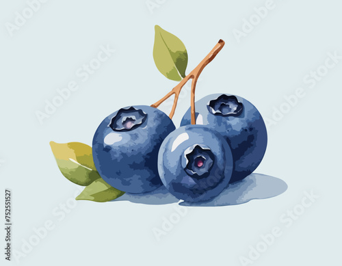 Watercolor Blueberries
