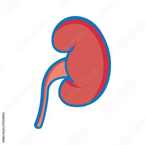 kidney icon vector illustration design template