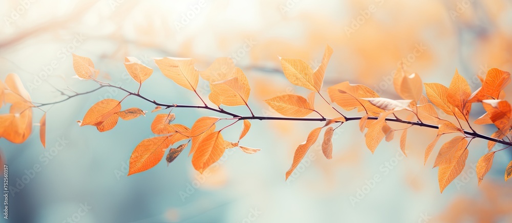 A tree branch with vibrant yellow leaves is illuminated by sunlight against a blurred foliage background. The leaves stand out in shades of yellow and green, adding a pop of color to the autumn A tree branch with vibrant yellow leaves is illuminated by sunlight against a blurred foliage background. The leaves stand out in shades of yellow and green, adding a pop of color to the autumn