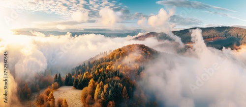 trees on the hill and mountains in low clouds at sunrise in autumn