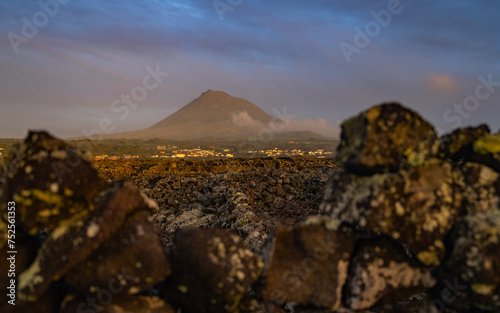During the sunset, Vineyards inside lava walls at Criacao Velha, a UNESCO World Heritage Site, can be seen. This picturesque scene is located in Pico, Azores islands.