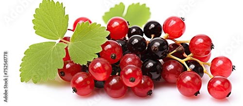 A bunch of black and red currant berries with green leaves  isolated on a white background. The berries are clustered together  showcasing their deep colors and contrasting with the vibrant green