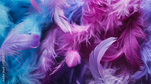 Pink, purple, and blue feather texture.