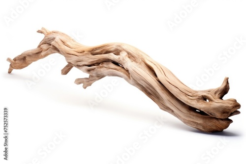 A piece of driftwood on a white surface. Ideal for minimalist design projects