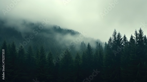 A serene view of a foggy forest under a cloudy sky. Ideal for nature and landscape concepts