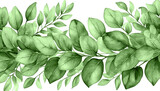 watercolor eucalyptus on transparent backgorund. Eucalyptus leaves border, png decoration for wedding, greeting, and other