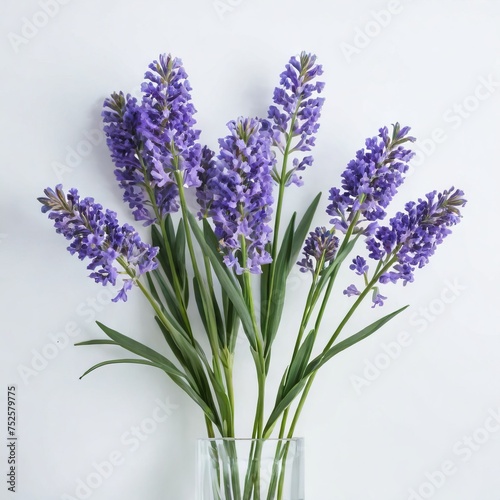 bunch of lavender flower 