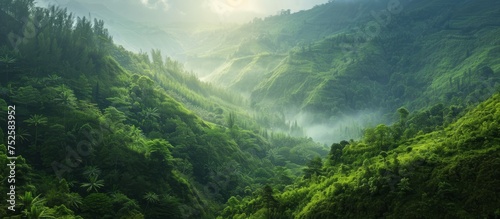 Majestic mountain landscape with lush green forest covering the slopes © TheWaterMeloonProjec