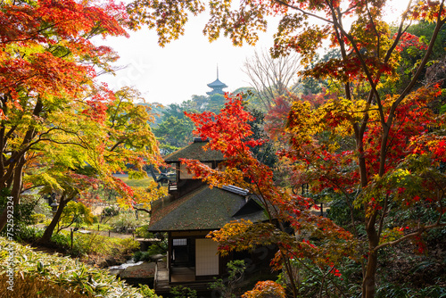 日本の風景・秋　神奈川県横浜市　紅葉の三溪園 photo