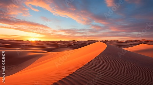 Sunset in the desert. Panoramic view of the sand dunes.