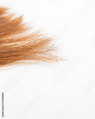 Conics of female hair on a white background. 