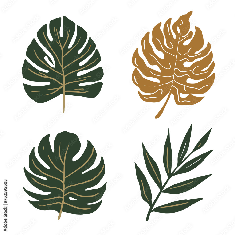 beautiful graphic large green leaves on an isolated background