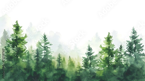 Watercolor stylized illustration of green forest and trees, white background, wallpaper style
 photo