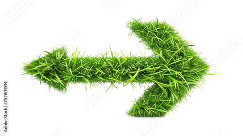 Eco-friendly direction: Green grass arrow icon symbolizing ecological awareness on a white background.