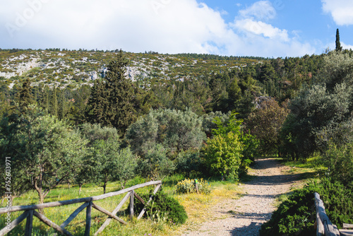 Hymettus mountain landscape  hiking in Athens  Hymettos mountain range panoramic beautiful view  Attica  Greece  in a summer sunny day  with Kaisariani aesthetic forest