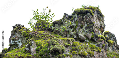 Moss rocks with foliage isolated on a white background