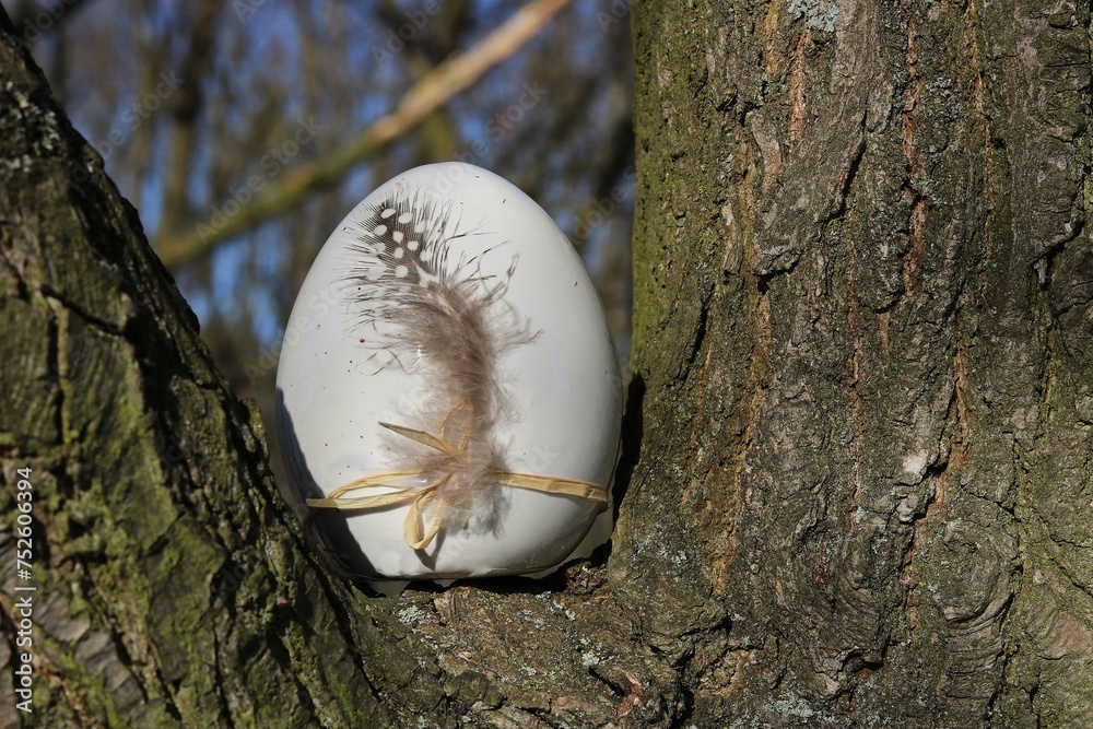 Easter egg decorated with a feather from a guinea fowl arranged in a natural environment on a tree trunk Easter egg decorated with a feather from a guinea fowl arranged in a natural environment on a tree trunk