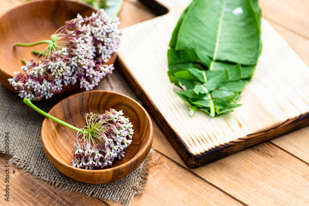 Virginia silkweed on the herbalist's table Virginia silkweed on the herbalist's table