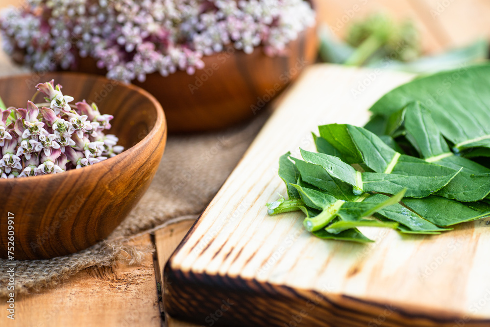 Virginia silkweed on the herbalist's table Virginia silkweed on the herbalist's table