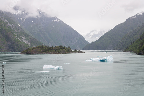 Gowlers (small icebergs) floating in the sea with South Sawyer Glacier in the distance, Tracy Arm Inlet, Alaska, USA photo
