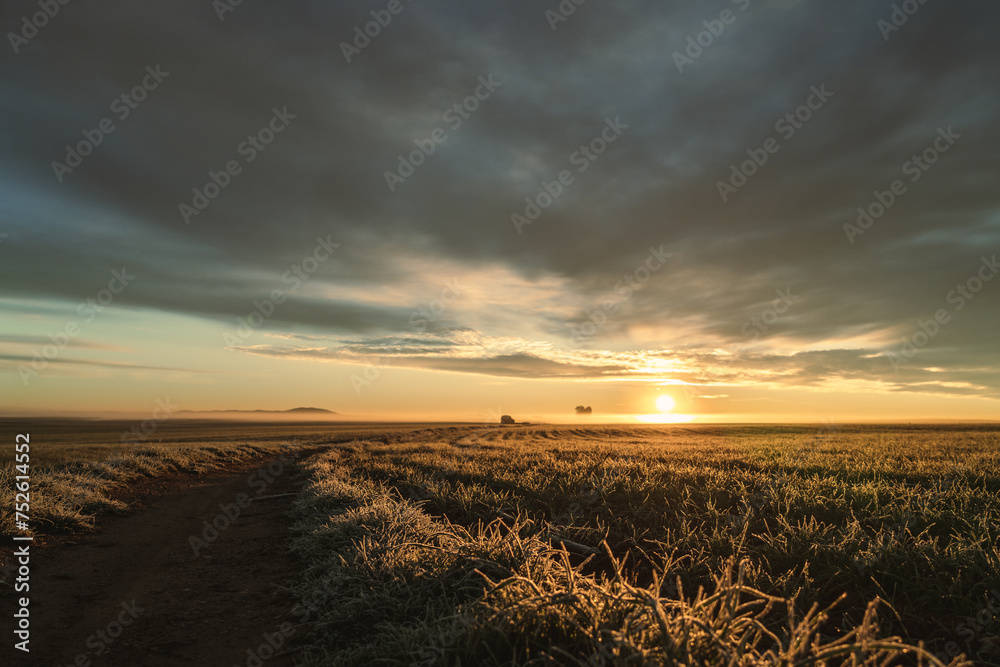 Sunrise landscape of frozen cereal cultivation with sunlight and gray clouds Sunrise landscape of frozen cereal cultivation with sunlight and gray clouds