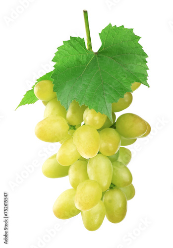 Fresh fruit, delicious ripe juicy grapes. Eco farm product, raw for wine  ingredient. on transparent, png